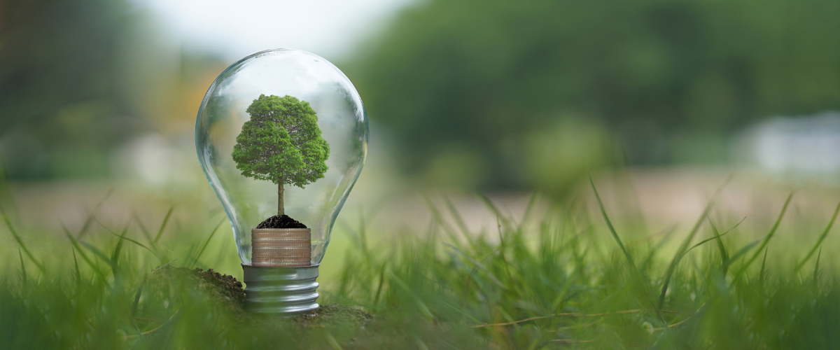 Lee más sobre el artículo LA CELULOSA ECONATURAL ALCANZA LA NEUTRALIDAD CLIMÁTICA