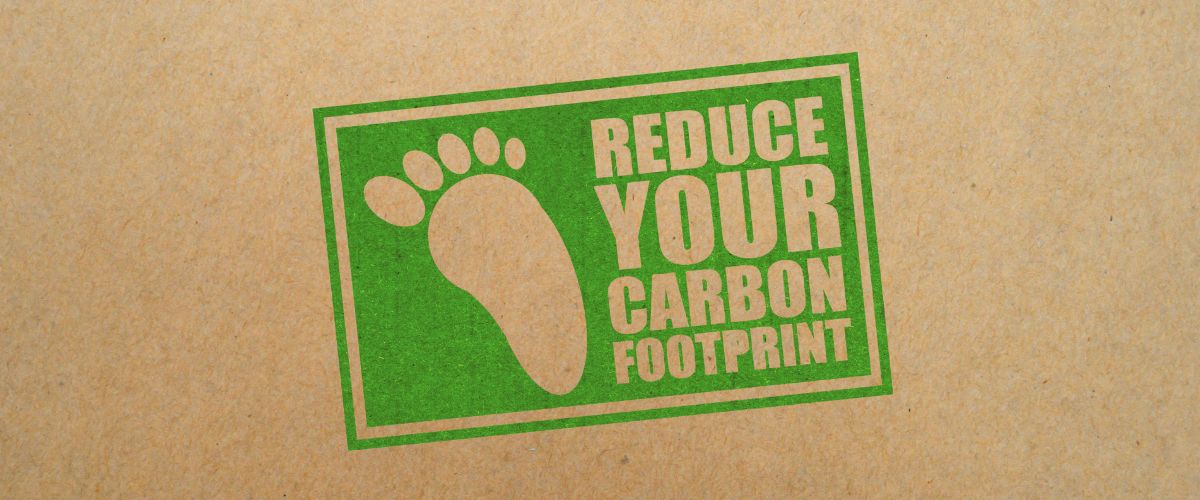 Lee más sobre el artículo Cómo reducir la huella de carbono con sistemas ultraconcentrados en celulosa profesional