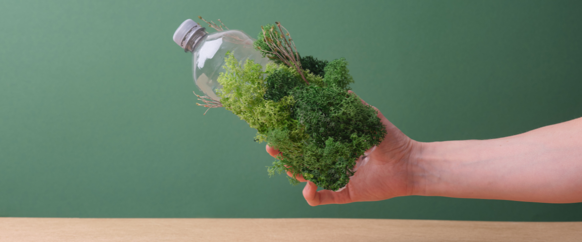 Lee más sobre el artículo Más allá del “verde”